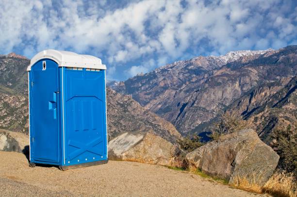 Best Affordable portable toilet rental  in Hollandale, MS